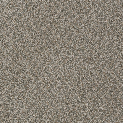 1-sp250-255-1200-a-variant-room-scene