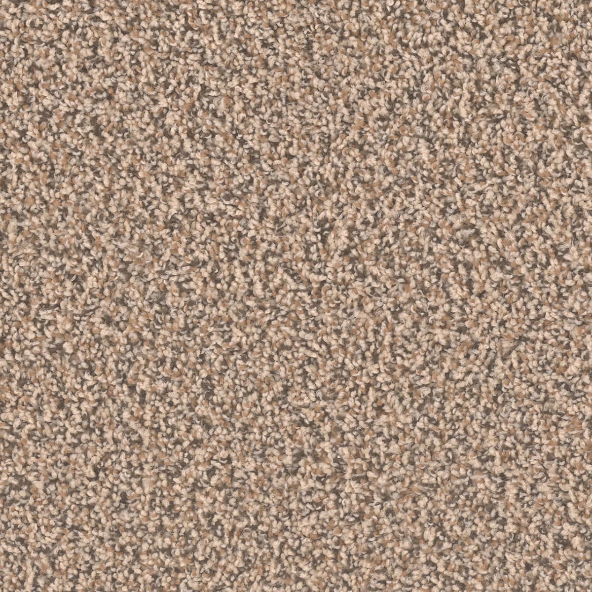1-sp250-367-1200-a-variant-room-scene