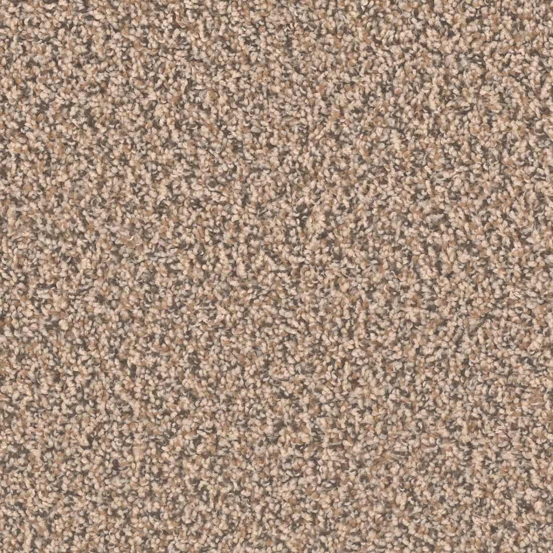 1-sp250-367-1200-a-variant-room-scene