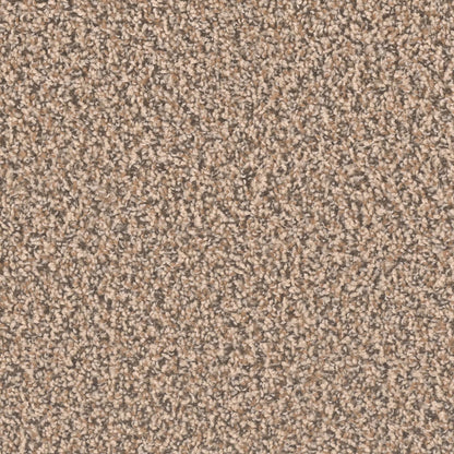 1-sp250-367-1200-a-variant-room-scene