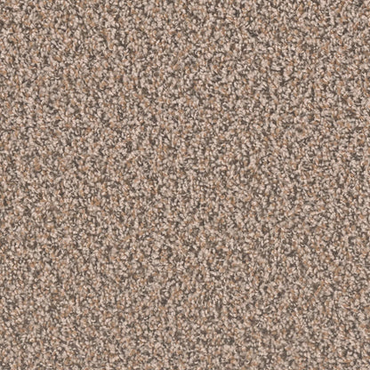 1-sp250-390-1200-a-variant-room-scene