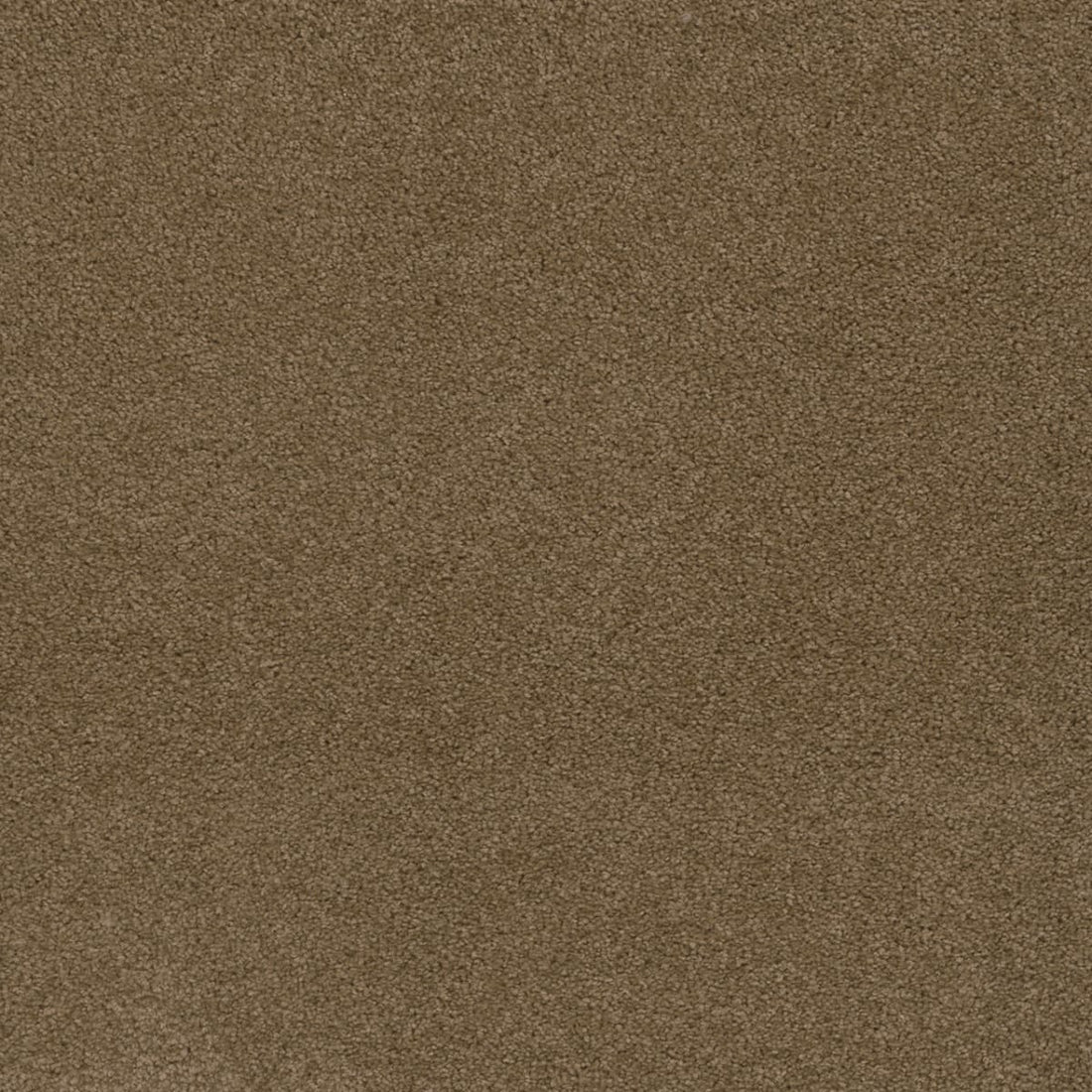 1-sp250-510-1200-a-variant-room-scene