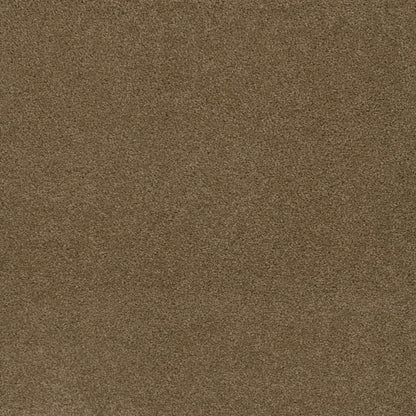 1-sp250-510-1200-a-variant-room-scene
