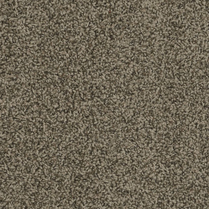 1-sp250-512-1200-a-variant-room-scene