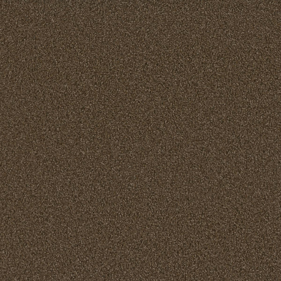 1-sp250-552-1200-a-variant-room-scene