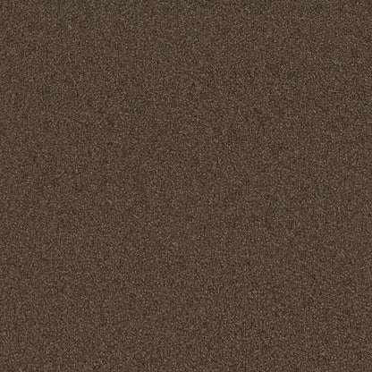 1-sp250-552-1200-a-variant-room-scene