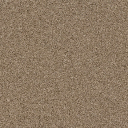 1-sp250-701-1200-a-variant-room-scene