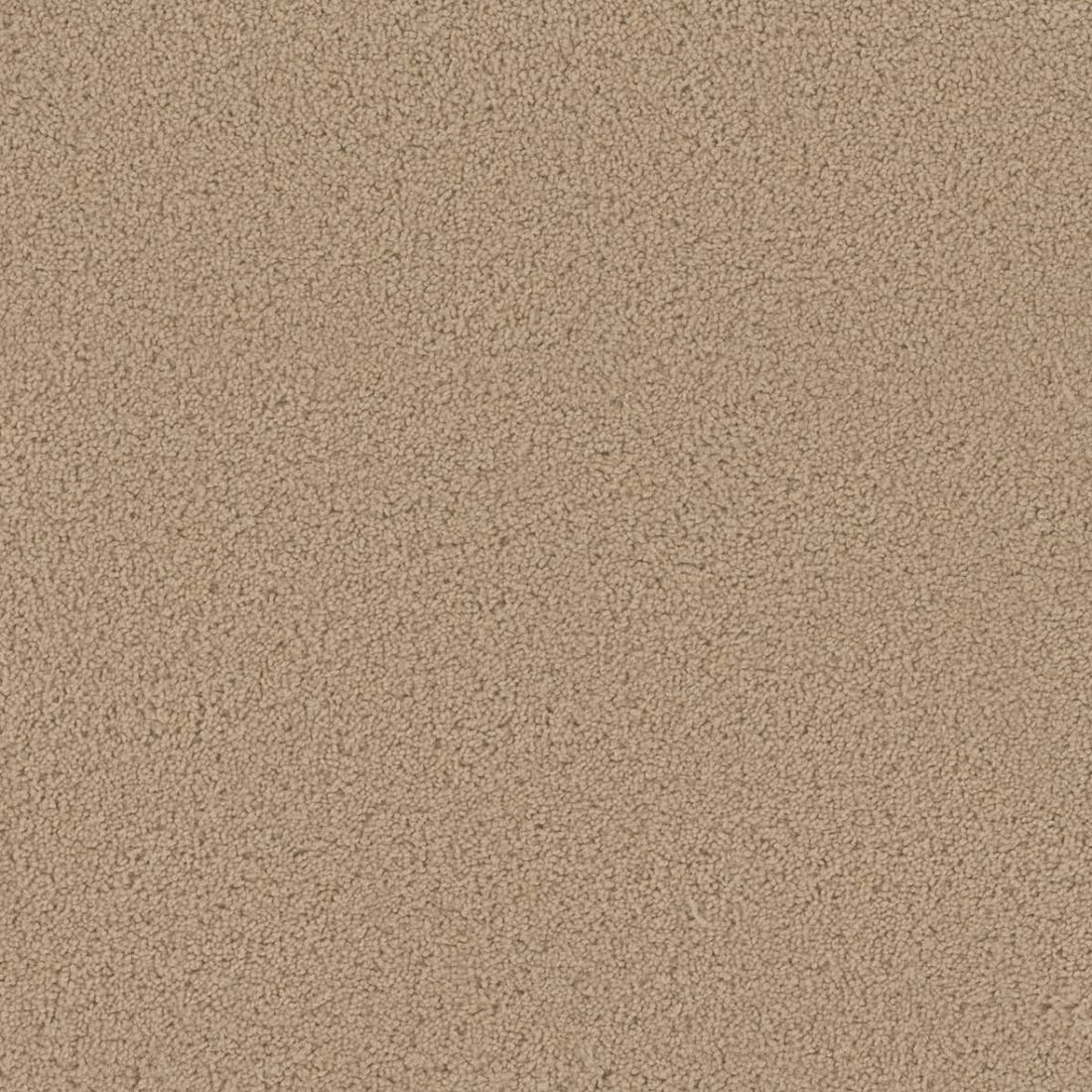 1-sp250-705-1200-a-variant-room-scene