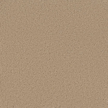 1-sp250-705-1200-a-variant-room-scene