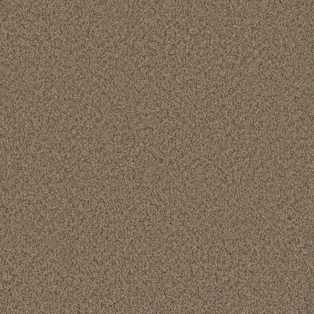1-sp250-708-1200-a-variant-room-scene