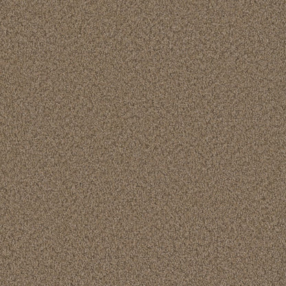 1-sp250-708-1200-a-variant-room-scene
