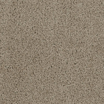 1-sp250-715-1200-a-variant-room-scene