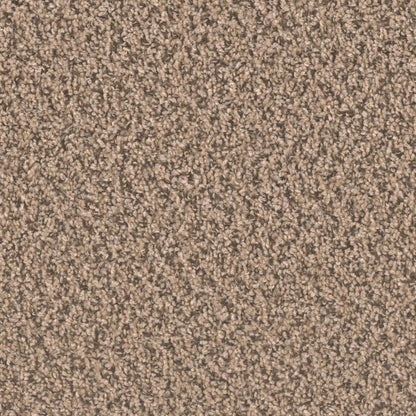 1-sp250-742-1200-a-variant-room-scene