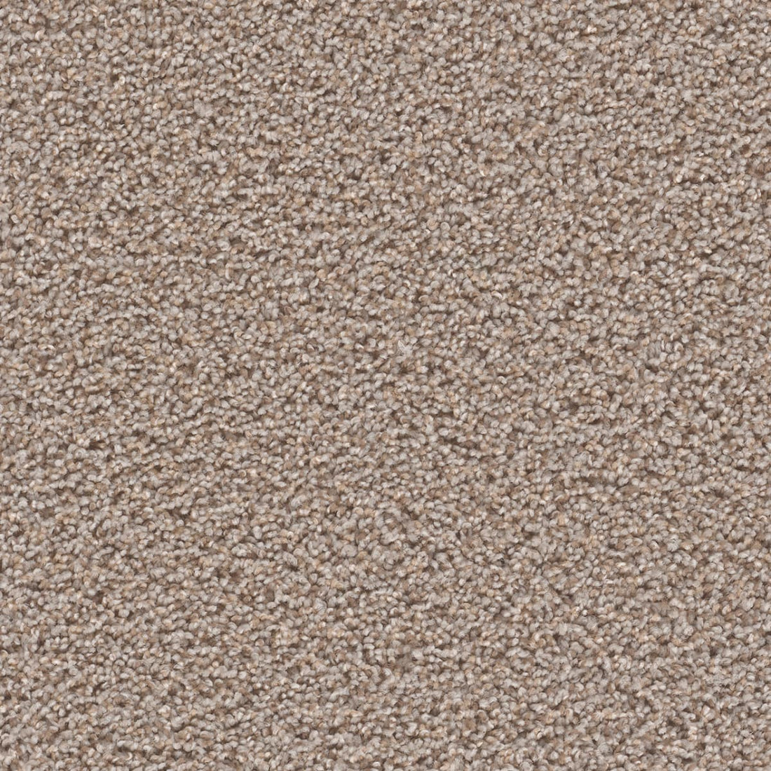 1-sp250-803-1200-a-variant-room-scene