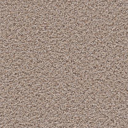 1-sp250-803-1200-a-variant-room-scene