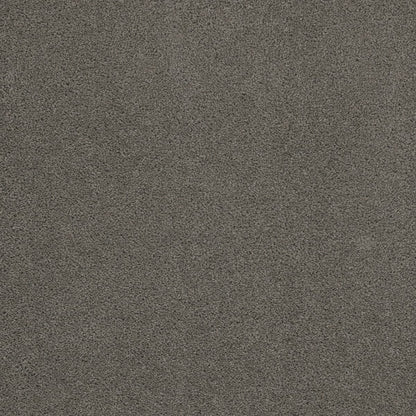 1-sp250-956-1200-a-variant-room-scene
