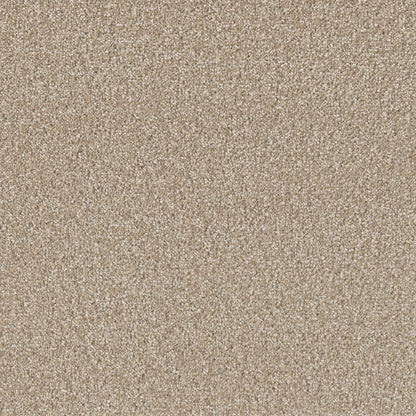 1-sp251-174-1200-a-variant-room-scene
