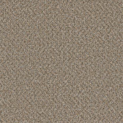 1-sp251-2068-1200-a-variant-room-scene