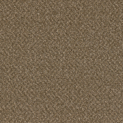 1-sp251-2351-1200-a-variant-room-scene
