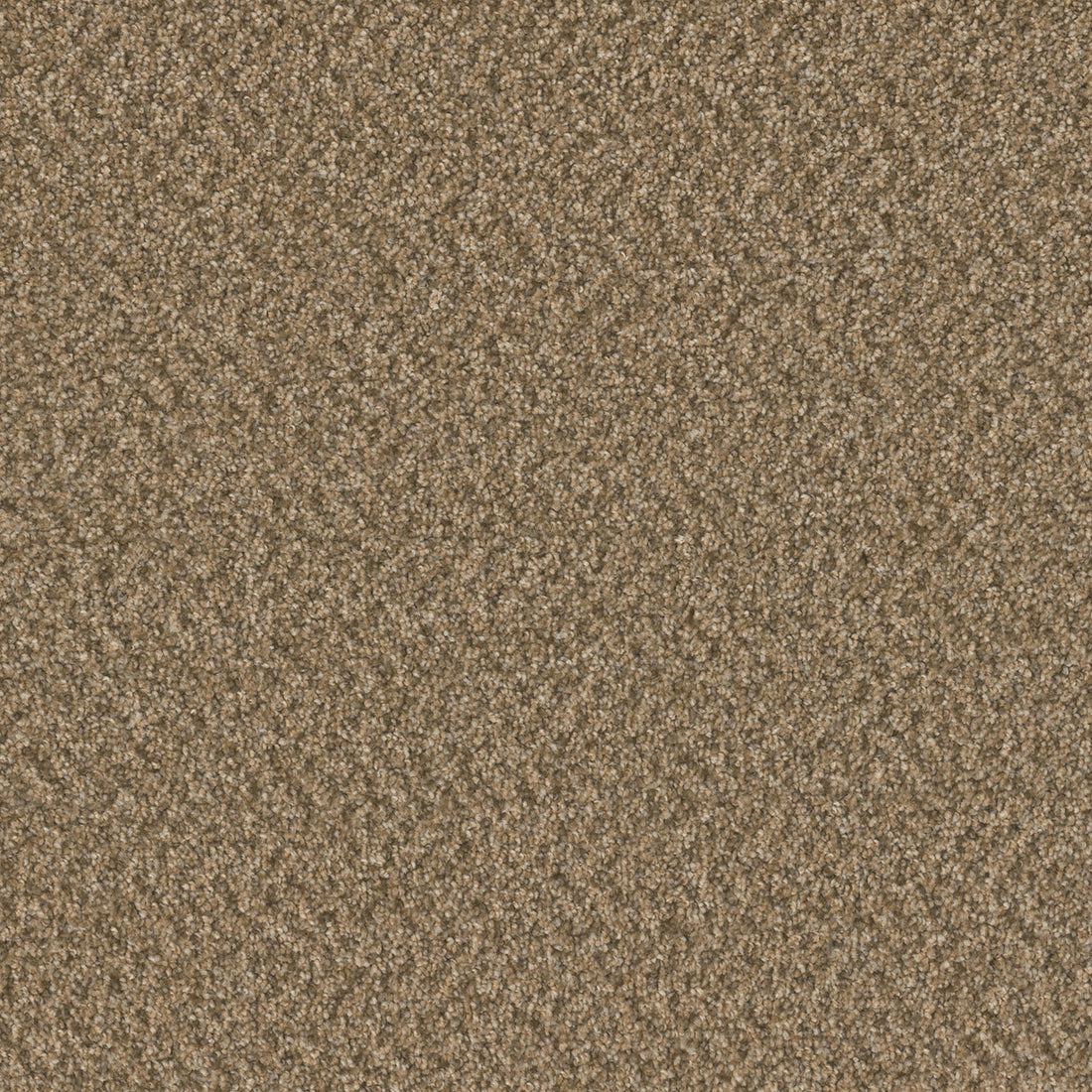 1-sp251-2418-1200-a-variant-room-scene