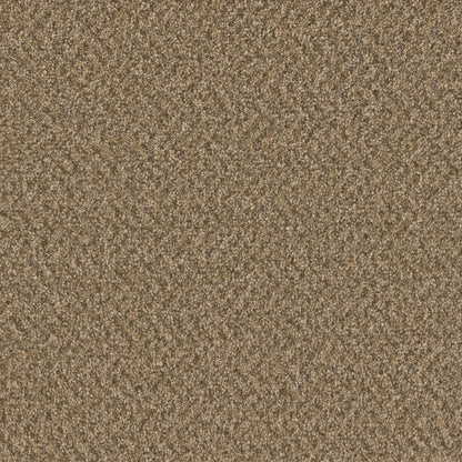 1-sp251-2418-1200-a-variant-room-scene