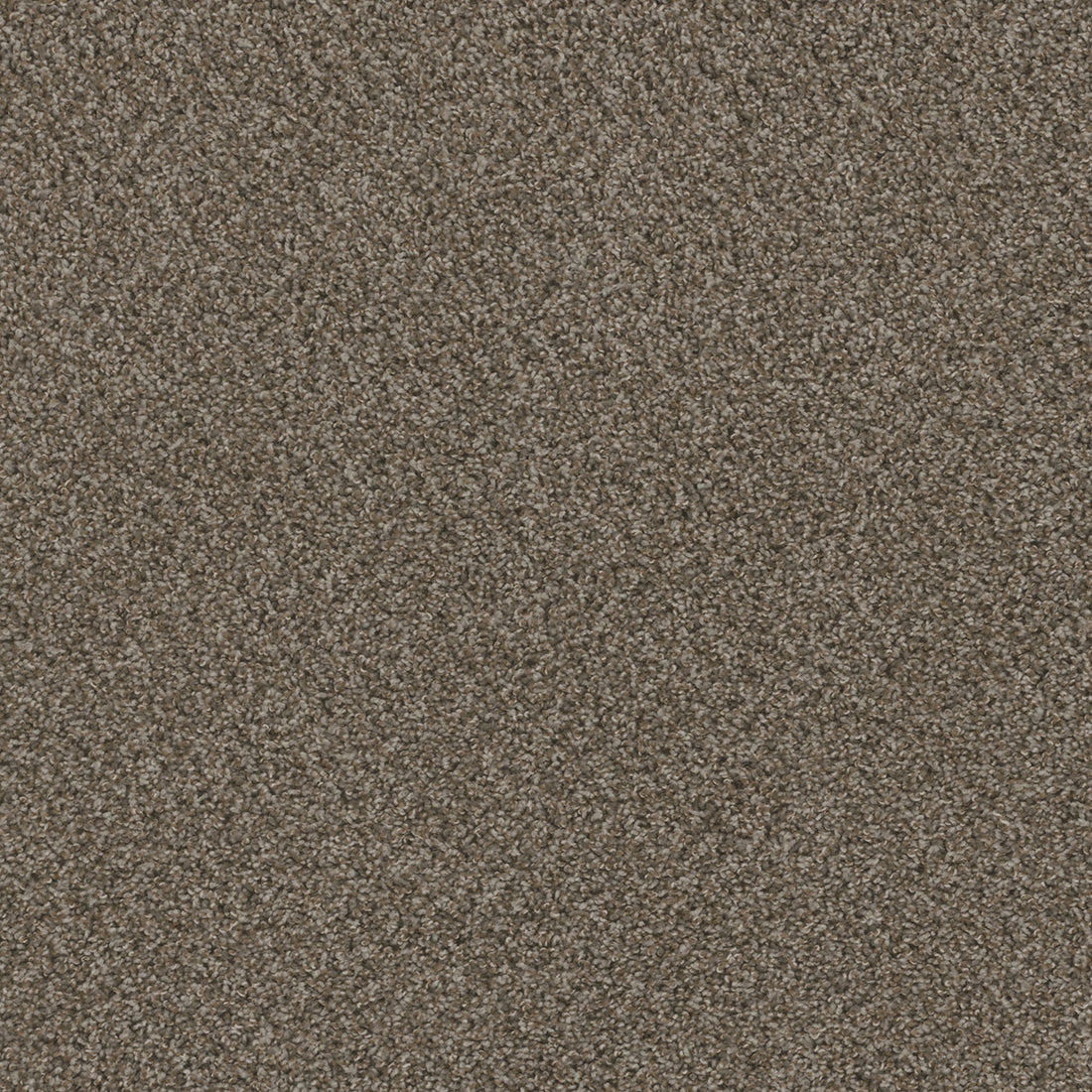 1-sp251-339-1200-a-variant-room-scene