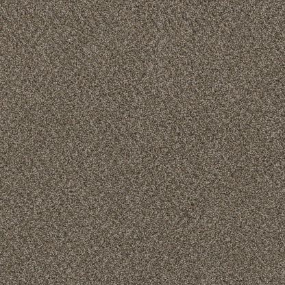 1-sp251-339-1200-a-variant-room-scene