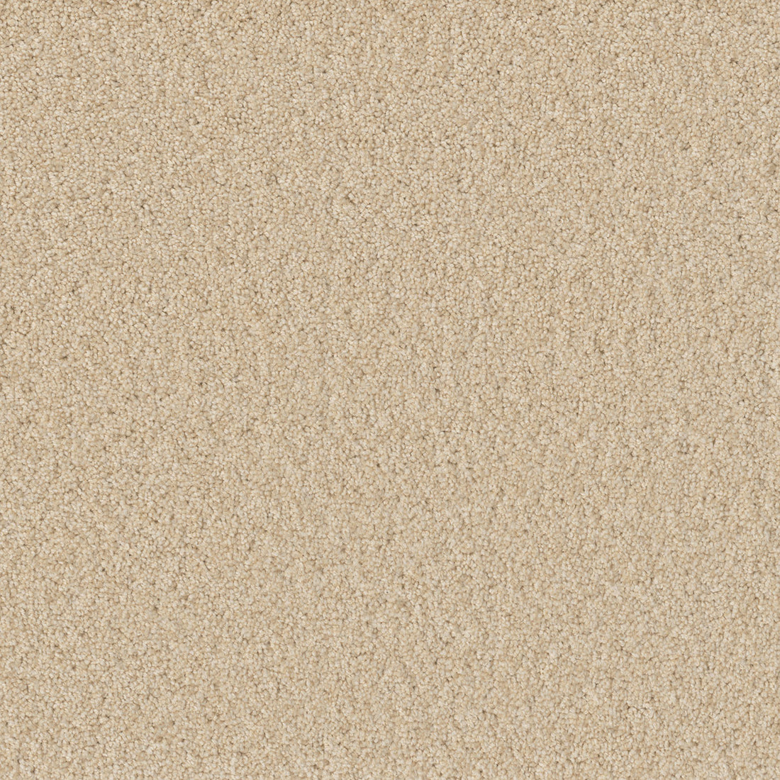 1-sp251-4193-1200-a-variant-room-scene