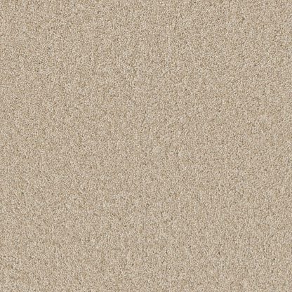 1-sp251-4484-1200-a-variant-room-scene