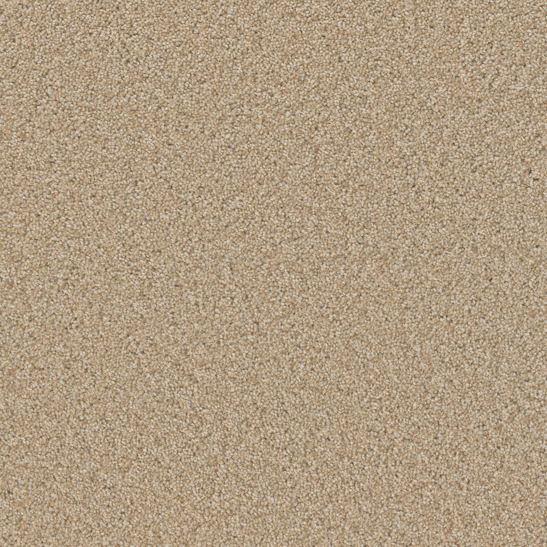1-sp251-4522-1200-a-variant-room-scene