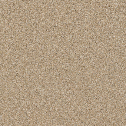 1-sp251-4522-1200-a-variant-room-scene
