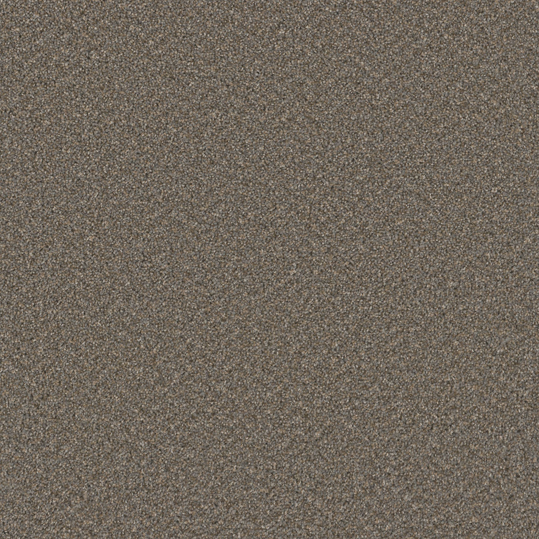 1-sp251-477-1200-a-variant-room-scene
