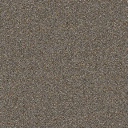 1-sp251-477-1200-a-variant-room-scene