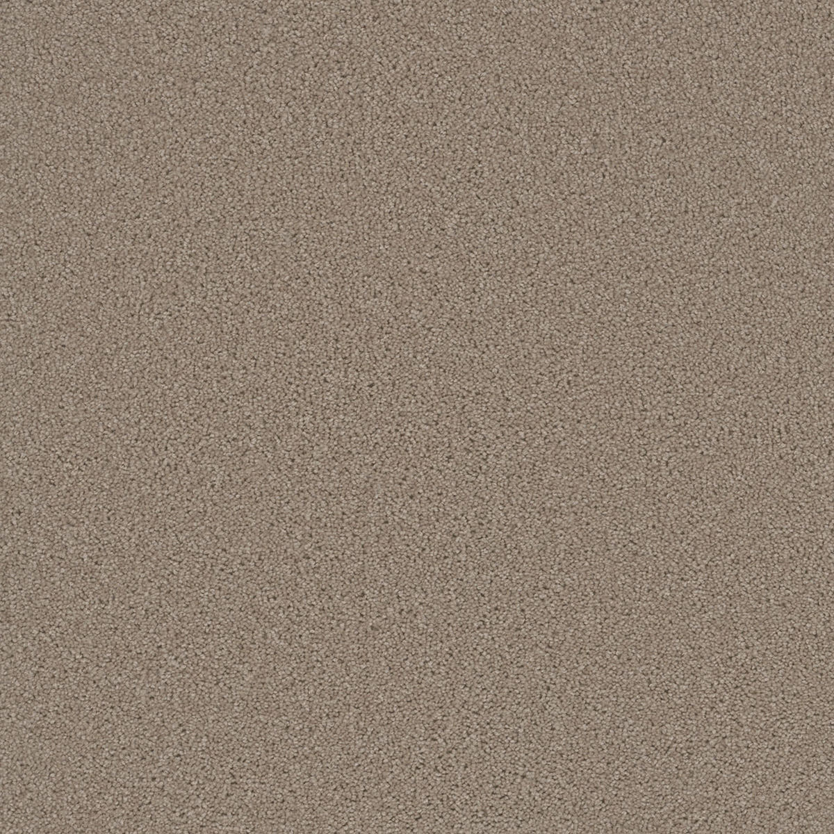 1-sp251-535-1200-a-variant-room-scene