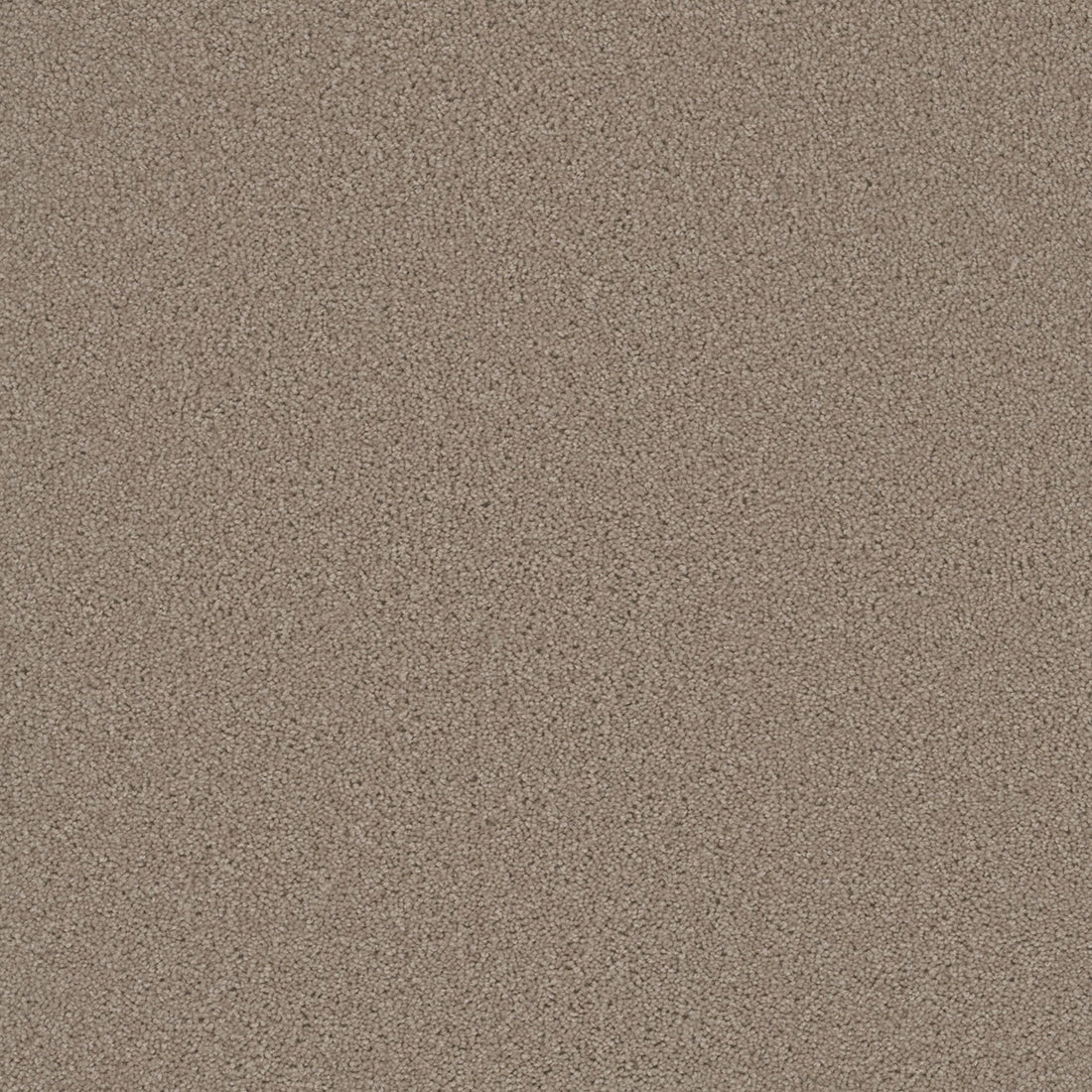 1-sp251-535-1200-a-variant-room-scene