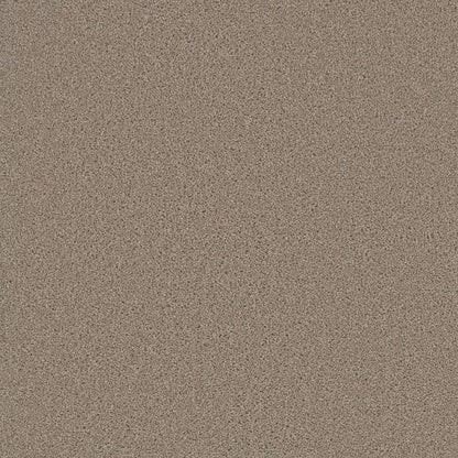 1-sp251-535-1200-a-variant-room-scene