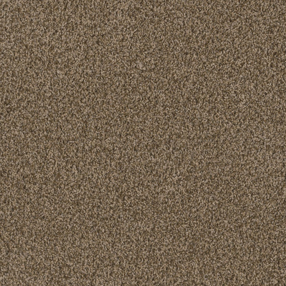1-sp251-711-1200-a-variant-room-scene