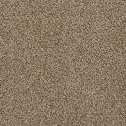 1-sp251-753-1200-a-variant-room-scene