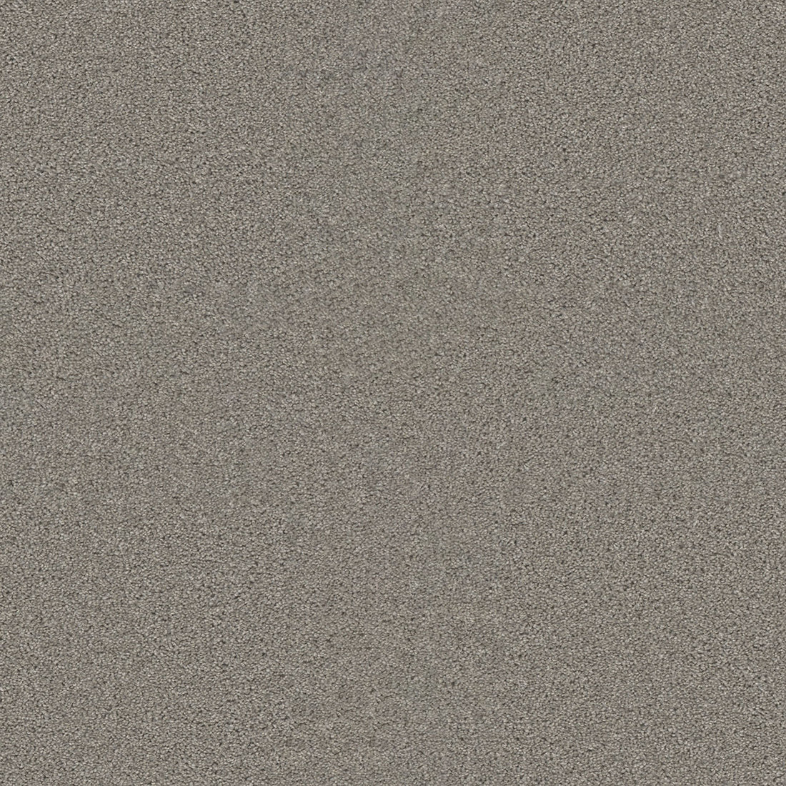 1-sp251-800-1200-a-variant-room-scene