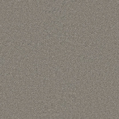 1-sp251-800-1200-a-variant-room-scene