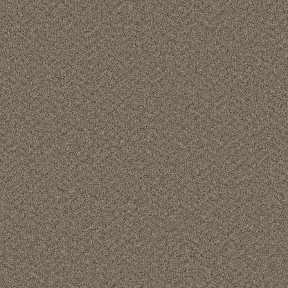 1-sp251-835-1200-a-variant-room-scene